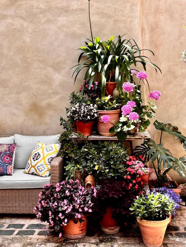 Oliva Courtyard Guesthouse מראה חיצוני תמונה