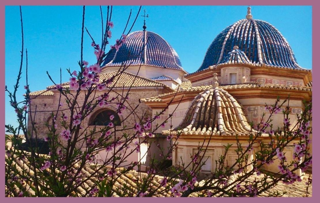 Oliva Courtyard Guesthouse מראה חיצוני תמונה